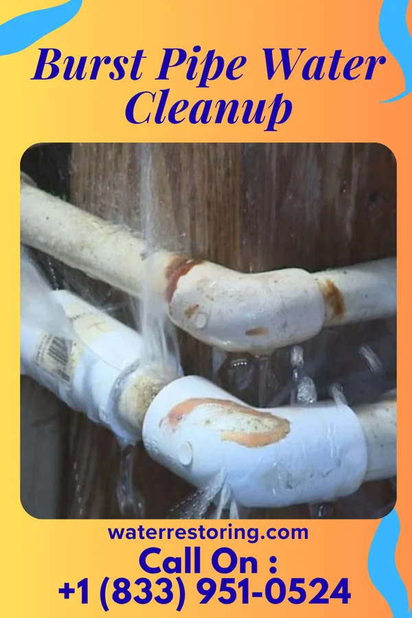 Burst Pipe Water Cleanup in Rosedale, WA